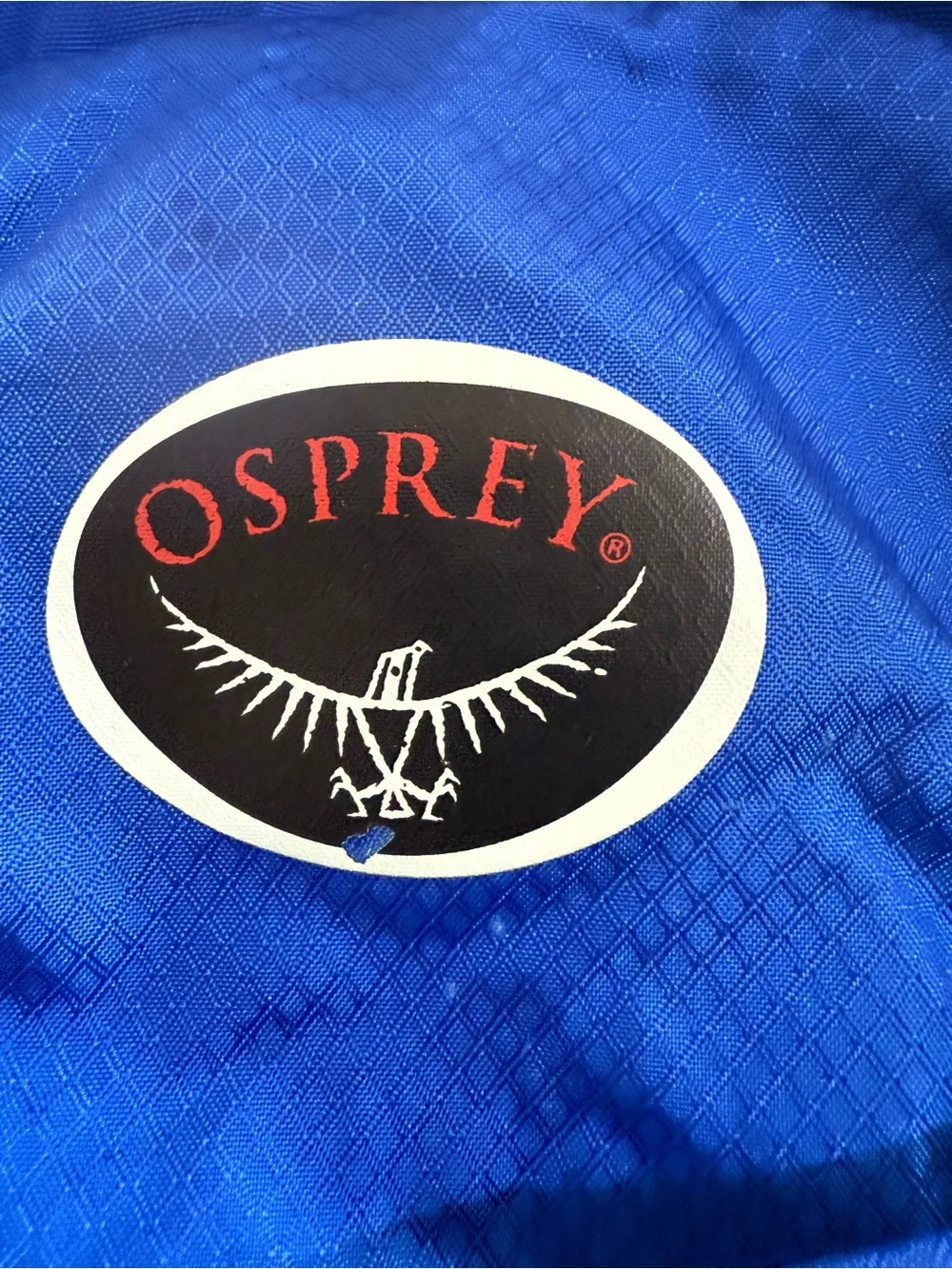 OSPREY Blue Daypack with White Trim